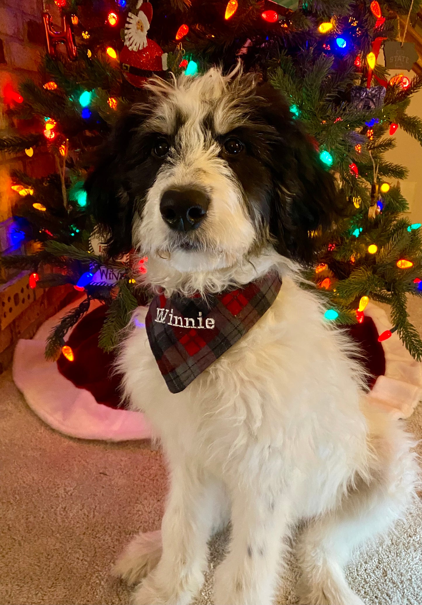 Reversible Holiday Dog Bandana