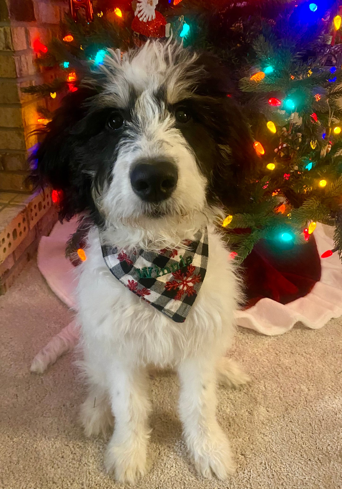 Reversible Holiday Dog Bandana